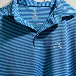 Rhoback Vibrant Blue and Green Polo